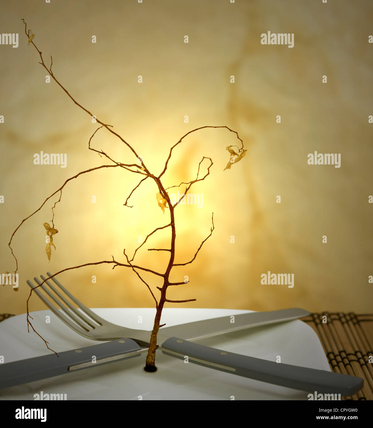 Magersucht Problem abstrakt Diät Metapher mit verdorrten Baum Stockfoto