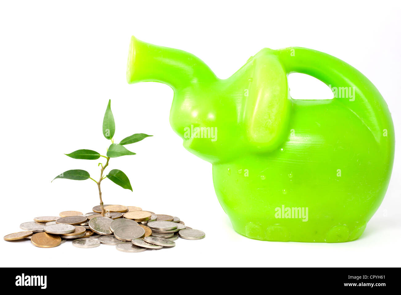 Grüne Pflanze auf weißem Hintergrund Geschäft Metapher des Sparens des Geldes in der Bank und schützen Stockfoto