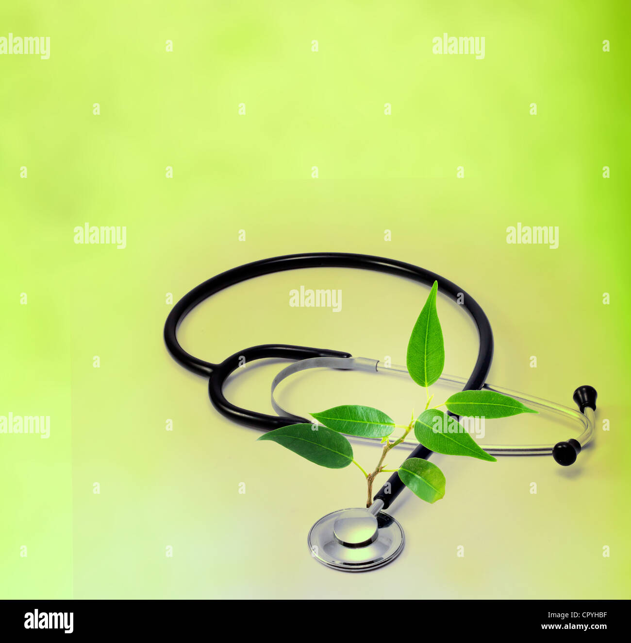 Naturheilkunde-Hintergrund-Konzept mit Stethoskop und grüne Pflanze wie ein Zeichen von Gesundheit Stockfoto