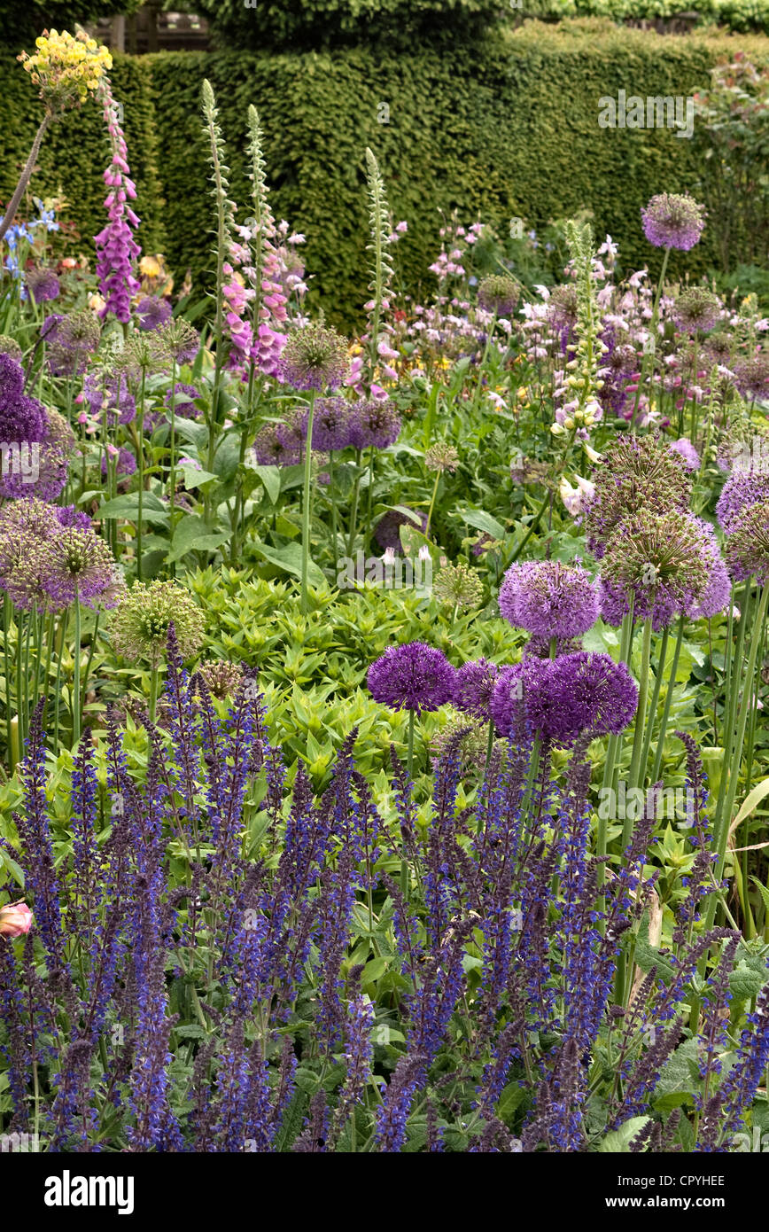 Englischen Cottage Garten Sommer Blume boarder Stockfoto