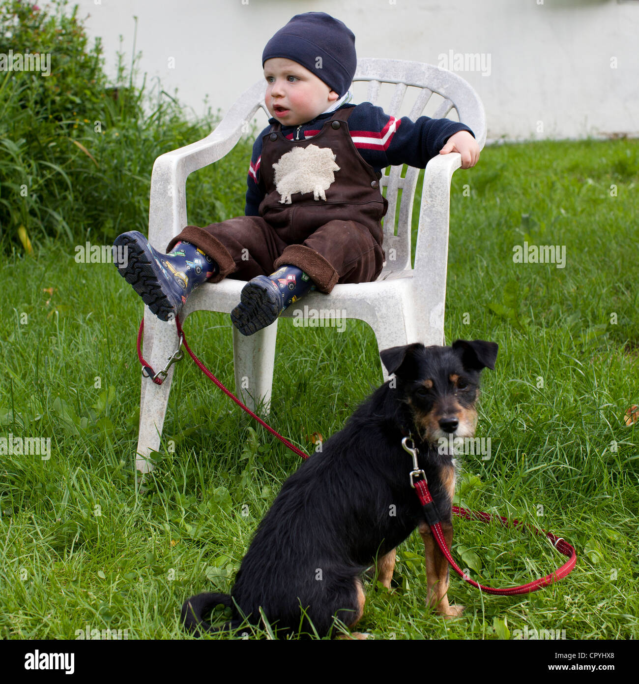 Baby Boy (15 Monate) begleitet sitzt auf einem Stuhl, von einem Hund an der Leine Stockfoto