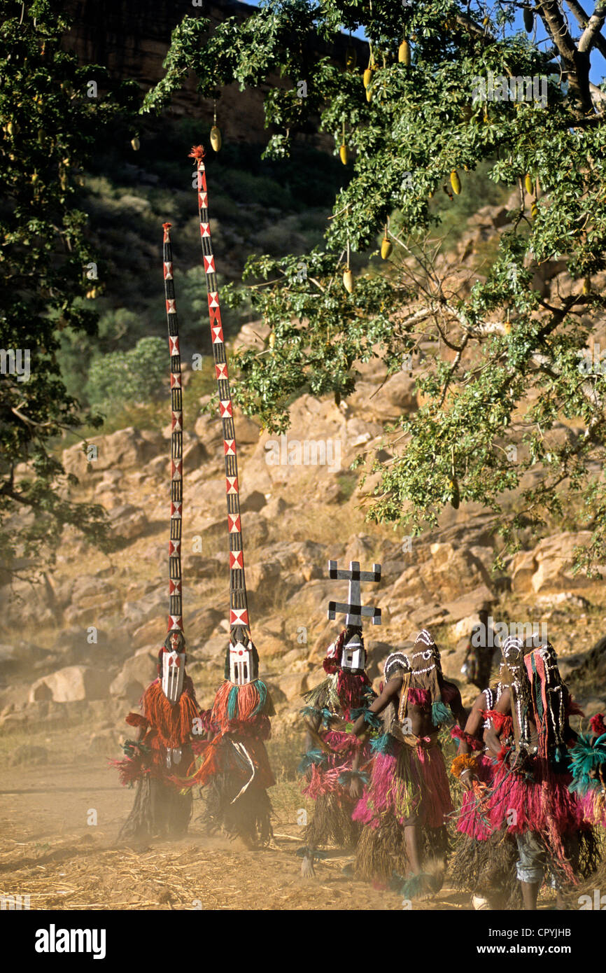 Mali, Dogonland, Ennde, am Ende der Felsen von Bandiagara UNESCO Welterbe, traditionelle Tänze streng für Männer wo Stockfoto