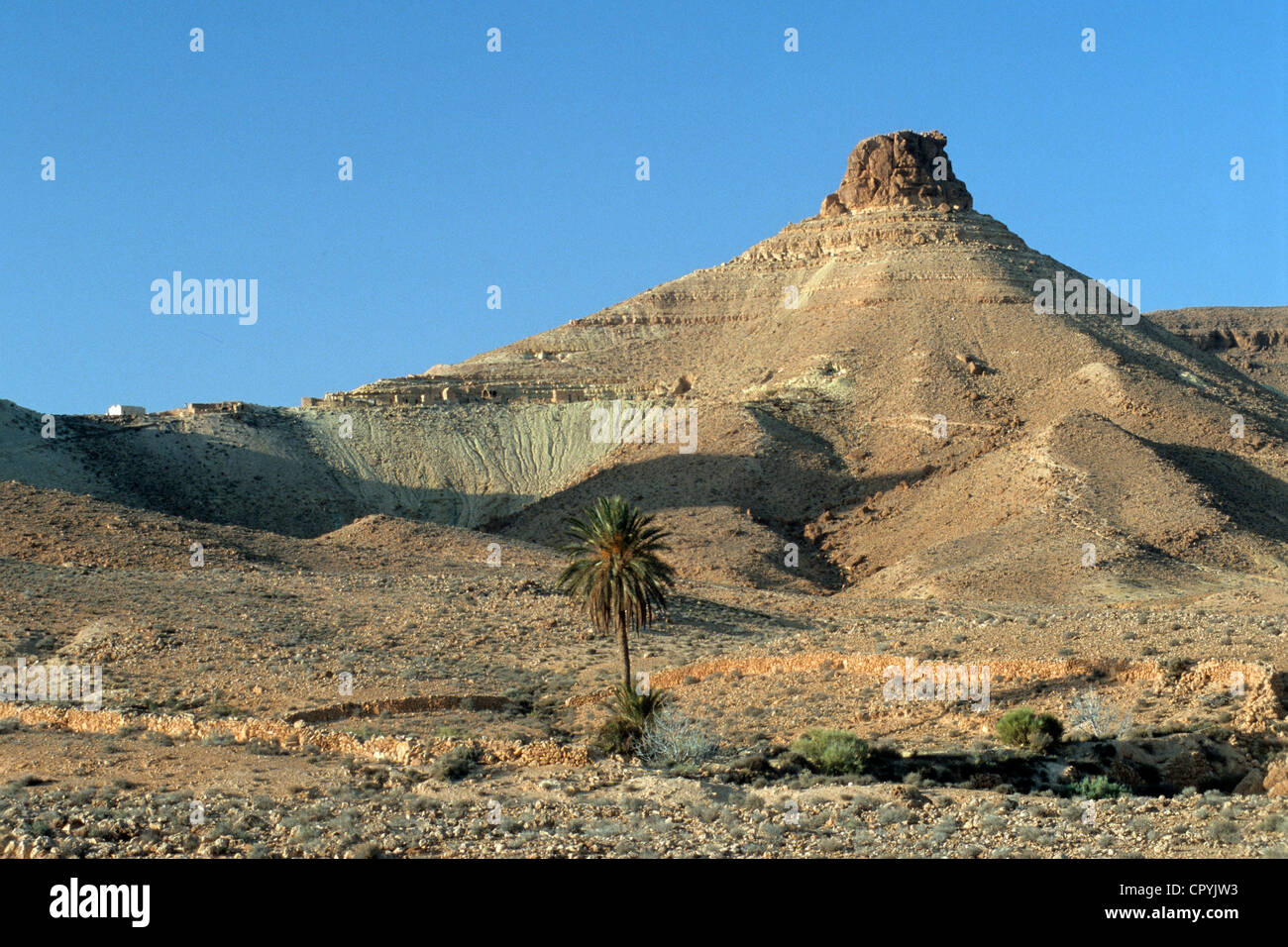 Tunesien, Chenini, Höhle-Bewohner Berberdorf, befestigte Zitadelle, überragt von einem Ksar Stockfoto