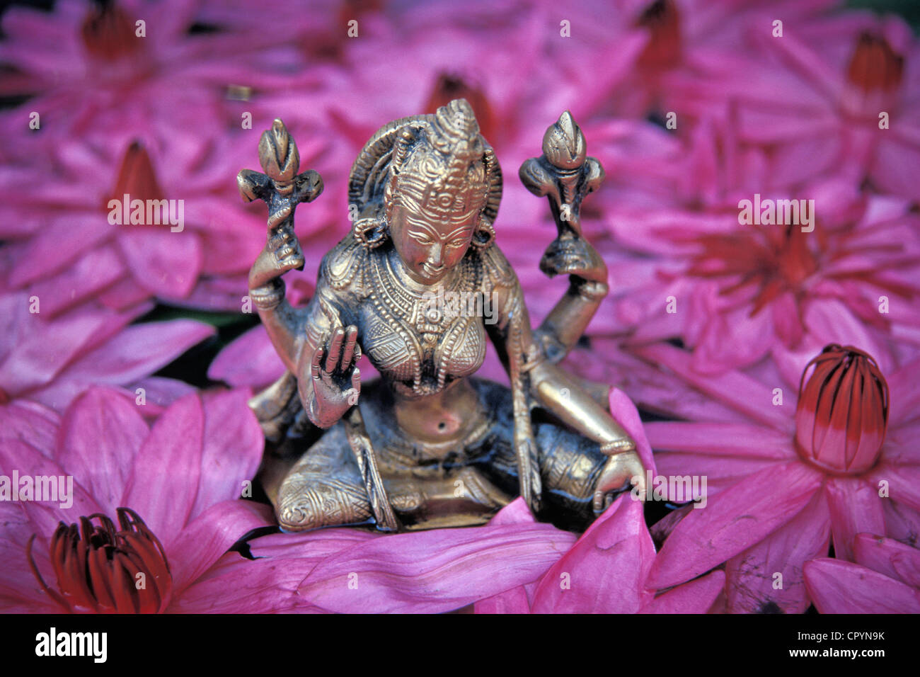 Göttin Lakshmi, die hinduistische Göttin von Glück und Schönheit, Lotusblüten, Thrissur, Kerala, Südindien, Asien Stockfoto