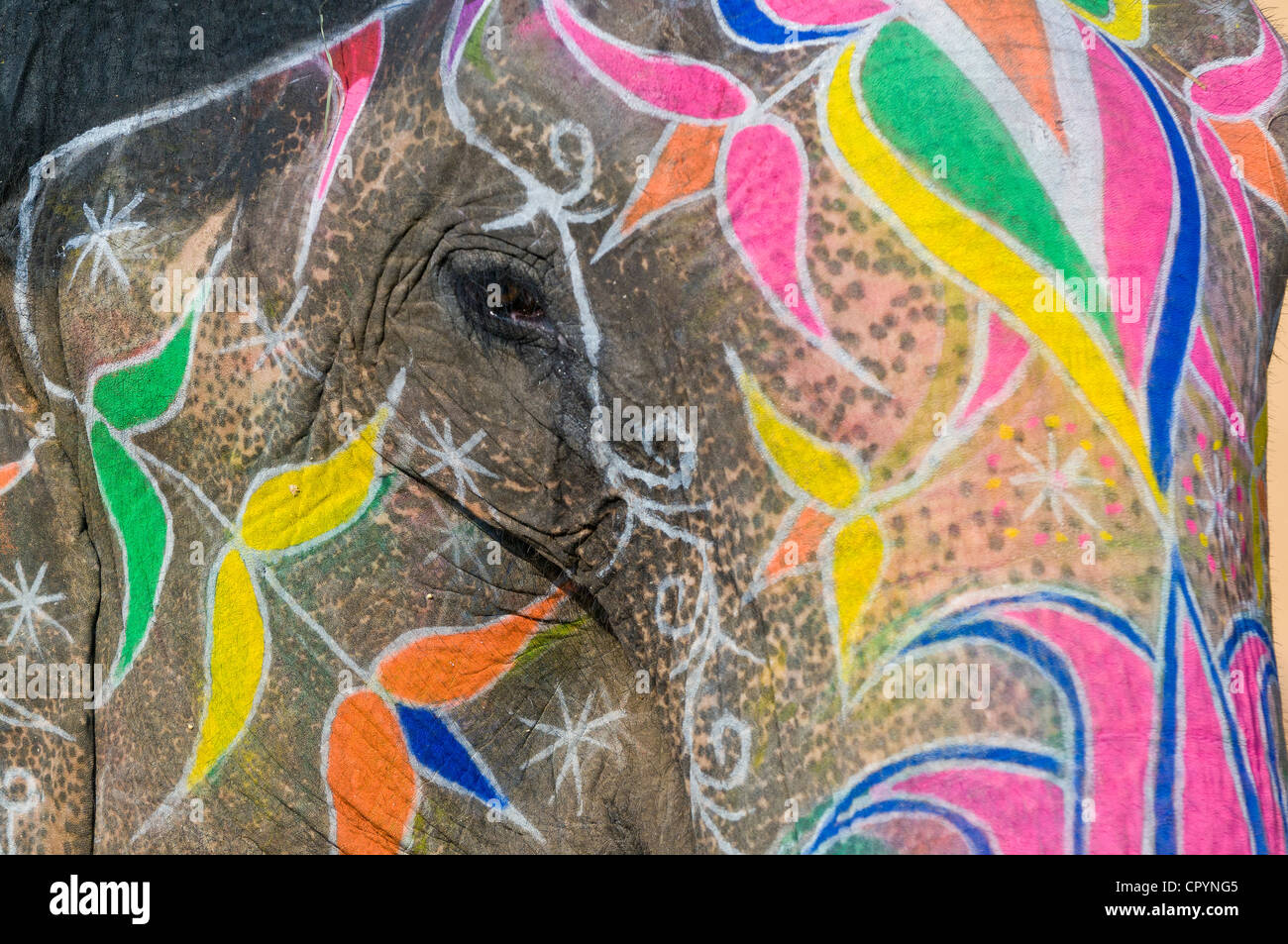 Lackiert, Elefant, Amber Fort, Jaipur, Rajasthan, Indien, Asien Stockfoto