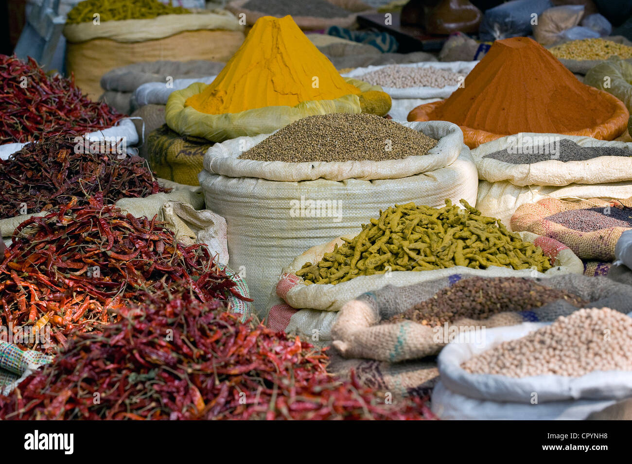 Chili-Paprika und Gewürze, Markt in Howrah Bridge, Kolkata, Kalkutta, Westbengalen, Indien, Aisa Stockfoto