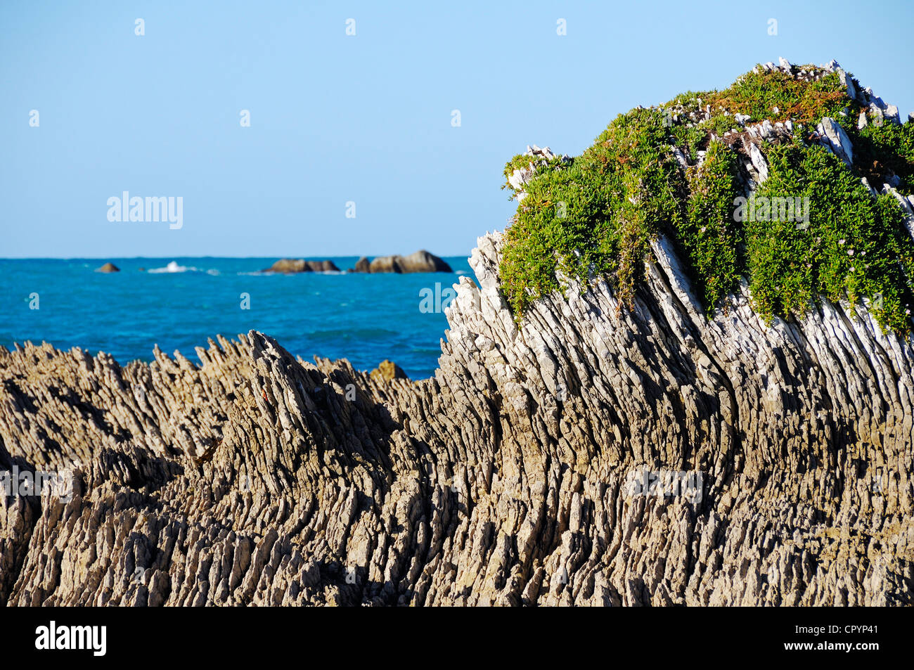 Geologische Gesteinsschichten auf der Halbinsel von Kaikoura, Südinsel, Neuseeland Stockfoto