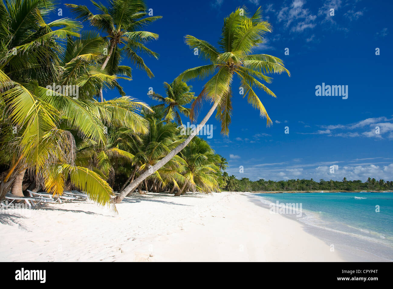 Dominikanische Republik, Provinz La Altagracia, Nationalpark Del Este, Isla Saona Stockfoto