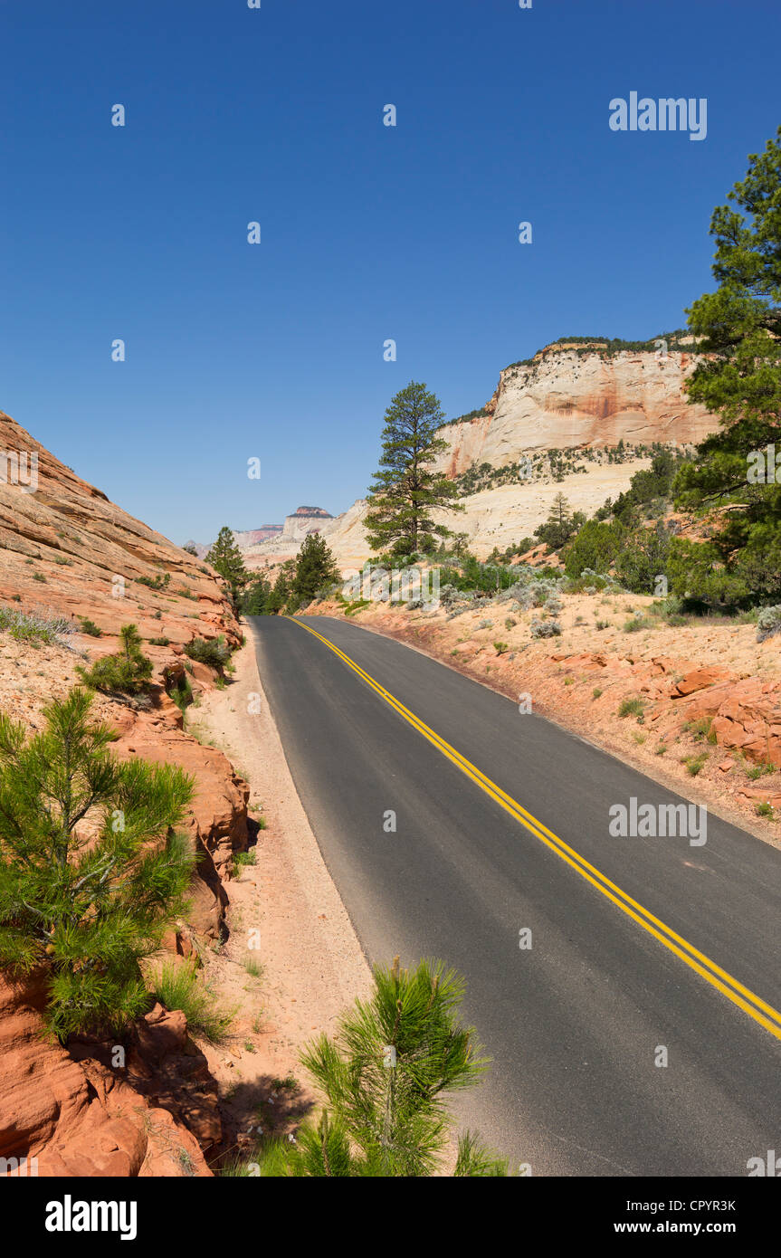 Straße, Checkerboard Mesa, Zion Nationalpark, Utah, USA Stockfoto