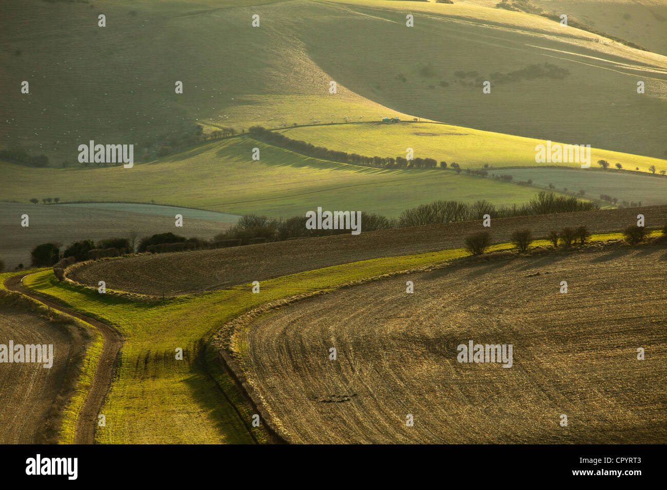 Winternachmittag an der South Downs, East Sussex, England. Stockfoto
