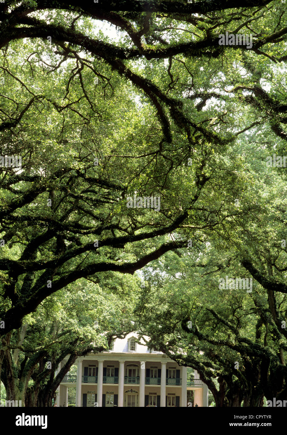 Vereinigten Staaten Louisiana Vacherie Oak Alley Plantation Antebellum Villa in Mississippi Flussufer gebaut im Jahre 1837 vor Stockfoto