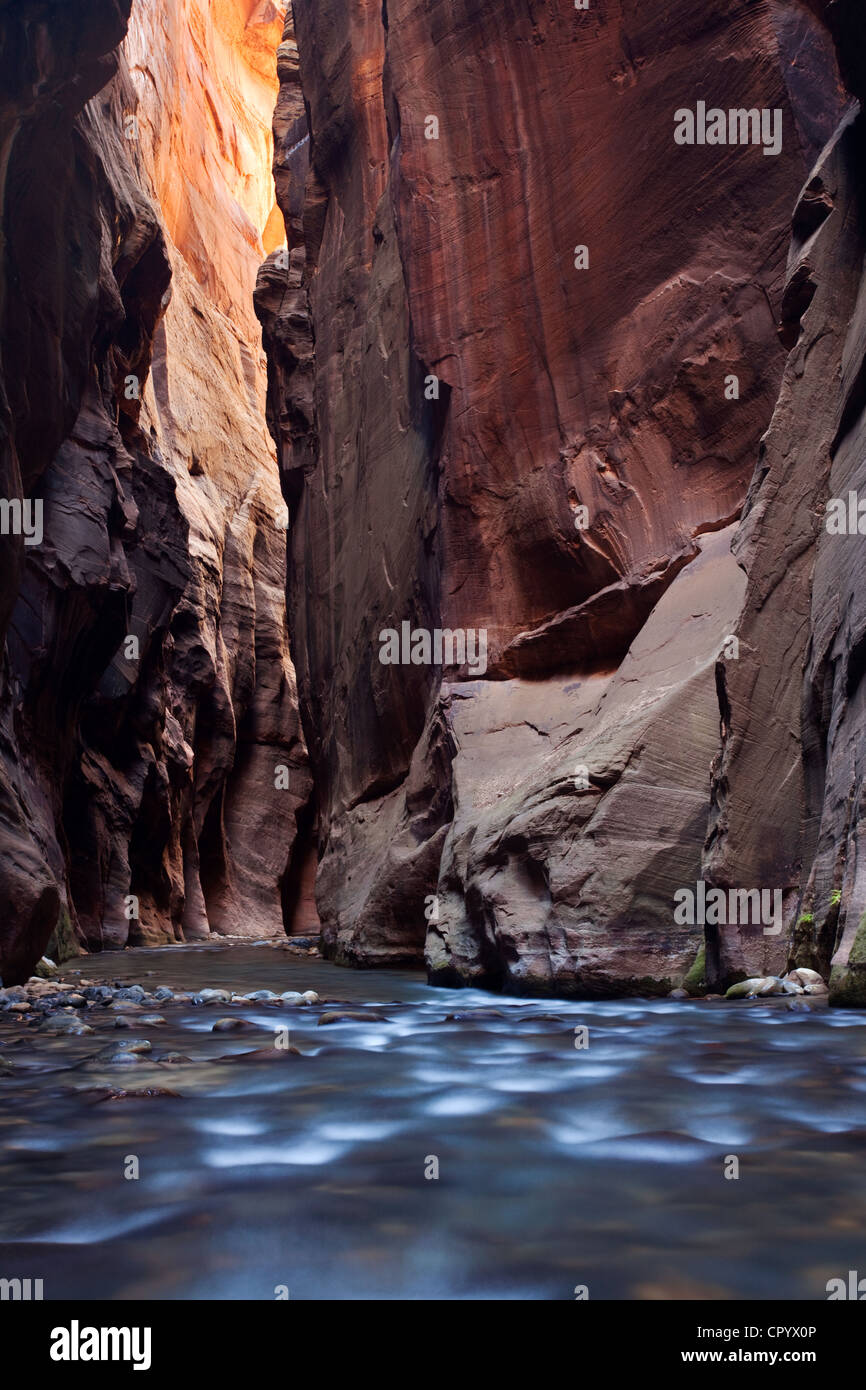 Die narrows, schmalen Punkt des Virgin River, Zion National Park, Utah, USA, Nordamerika Stockfoto