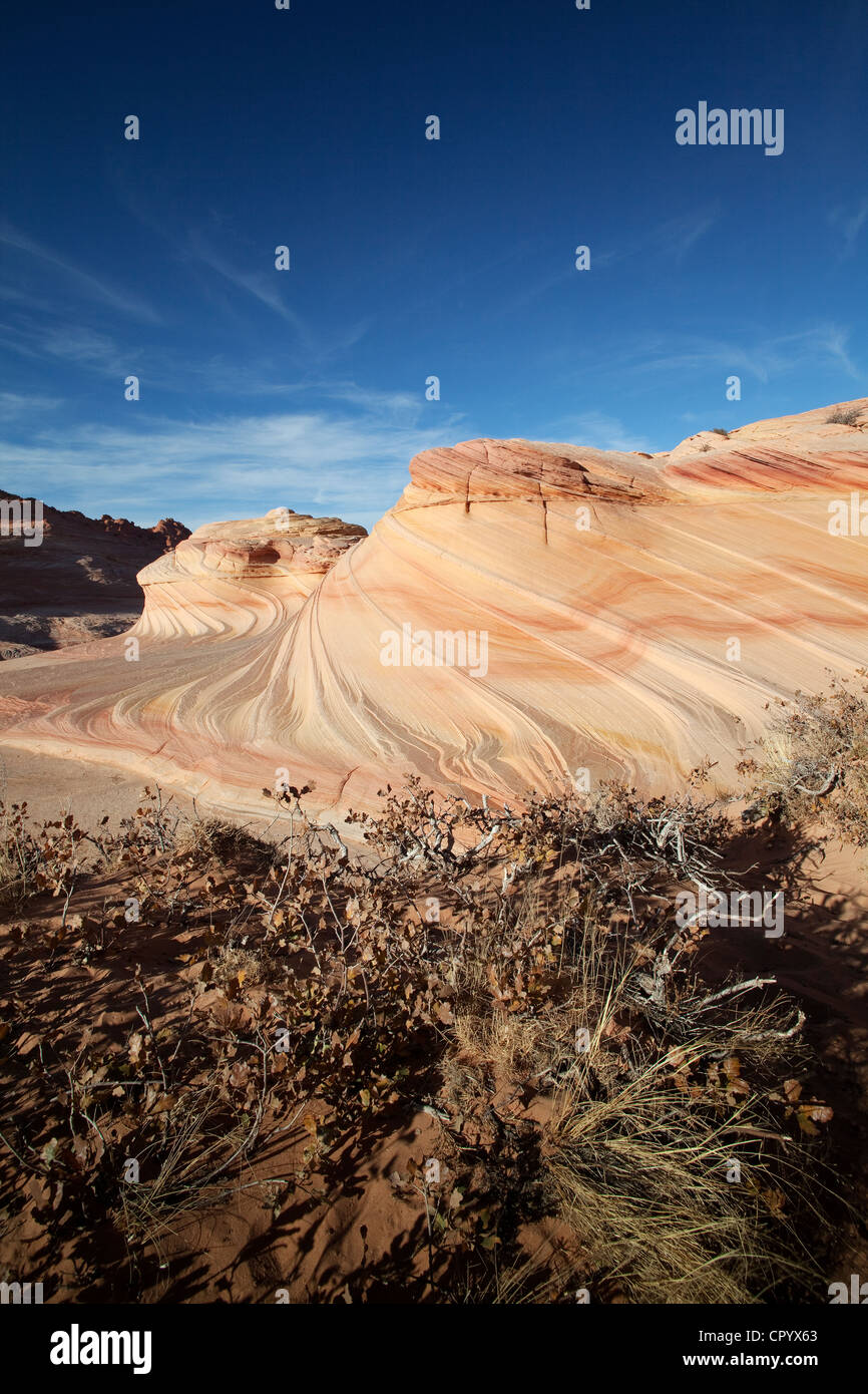 Sandsteinformationen, Coyote Buttes North, Vermilion Cliffs Wilderness, Seite, Arizona, USA, Nordamerika Stockfoto