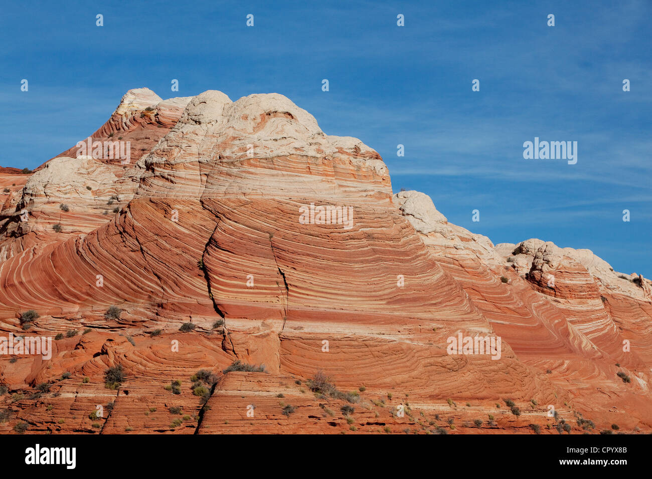 Sandsteinformationen, Coyote Buttes North, Vermilion Cliffs Wilderness, Seite, Arizona, USA, Nordamerika Stockfoto