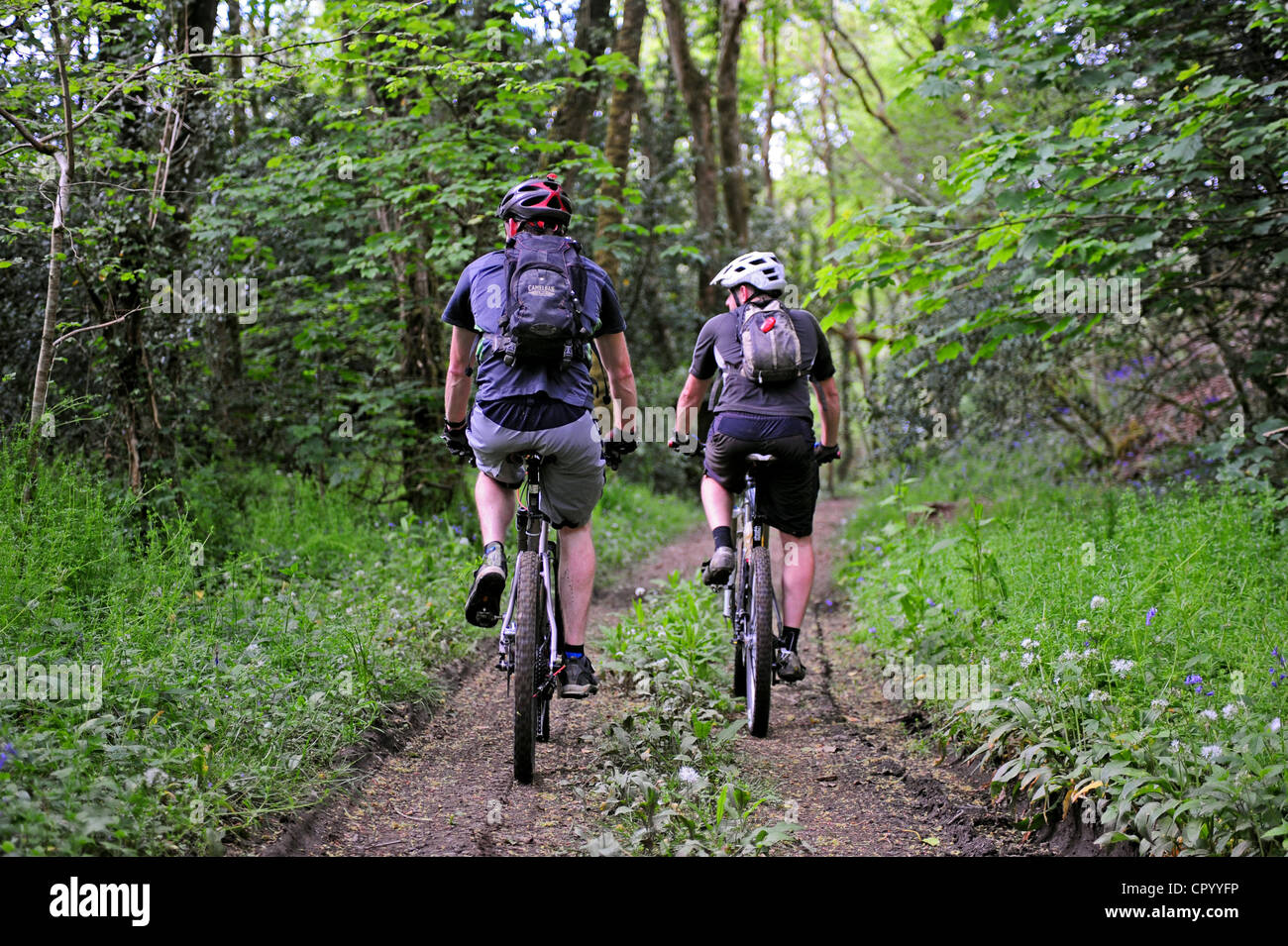 Mountainbiken in Waldwege Stockfoto