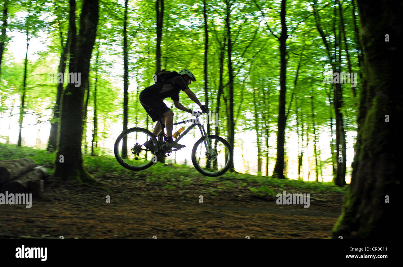 Mountainbiken in Waldwege Stockfoto