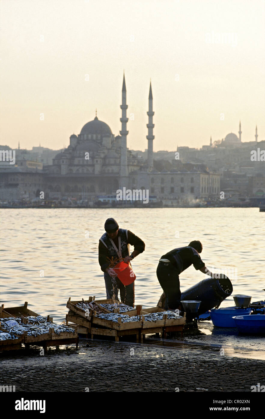 Türkei, Istanbul, Fischerhafen Stockfoto