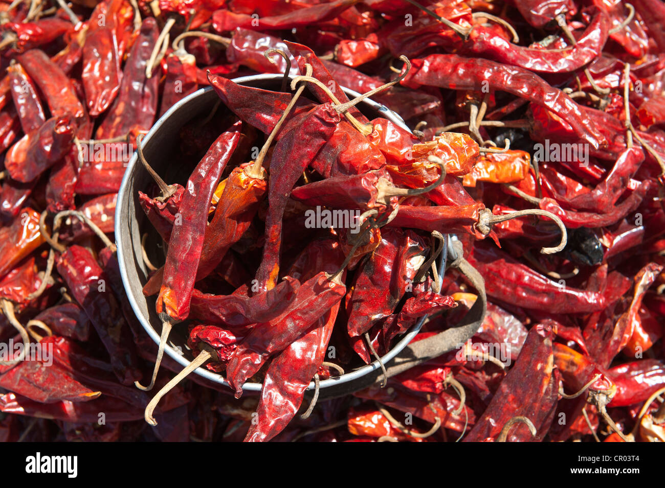 Rote Chilis, Topf mit getrocknete rote Chilischoten, Markt am Wangdue Phodrang Himalaya-Königreich Bhutan, Südasien, Asien Stockfoto