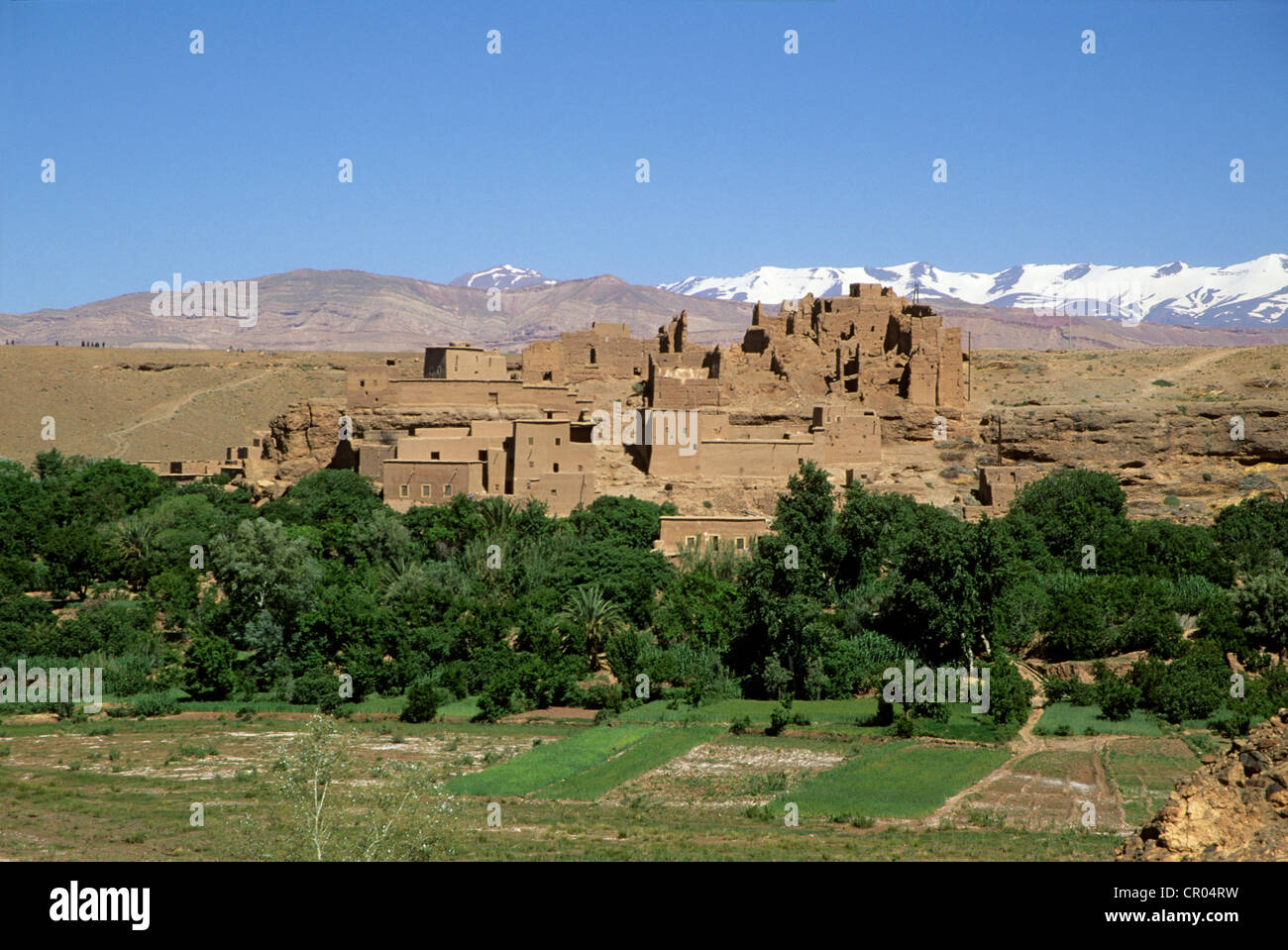 Marokko, hoher Atlas, Dades Tal, El Kelaa Ausflüge Kasbah Stockfoto