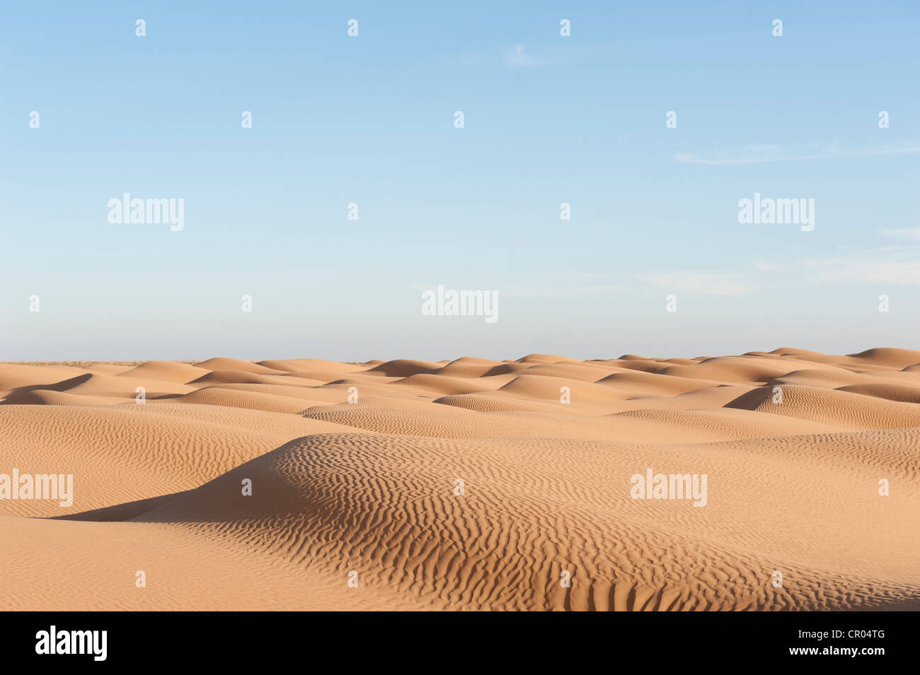 Sanddünen, gelbe Sand mit Rippelmarken in der Wüste Sahara, Süd-Tunesien, Tunesien, Maghreb, Nordafrika, Afrika Stockfoto