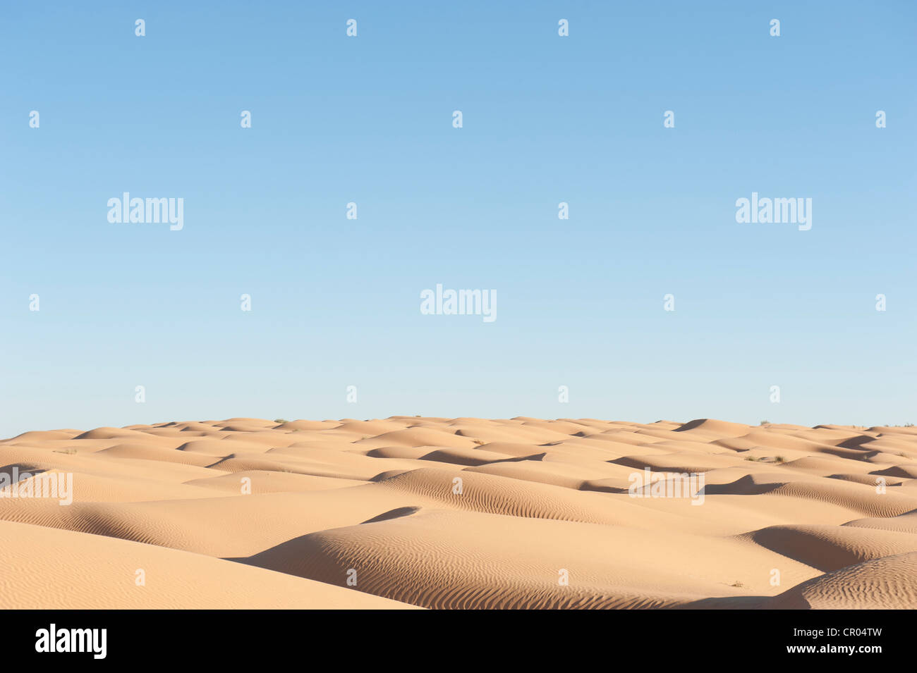 Einsamkeit, blauer Himmel, Sand Dünen, Sahara Wüste zwischen Douz und Ksar Ghilane, Süd-Tunesien, Tunesien, Maghreb, Nordafrika Stockfoto