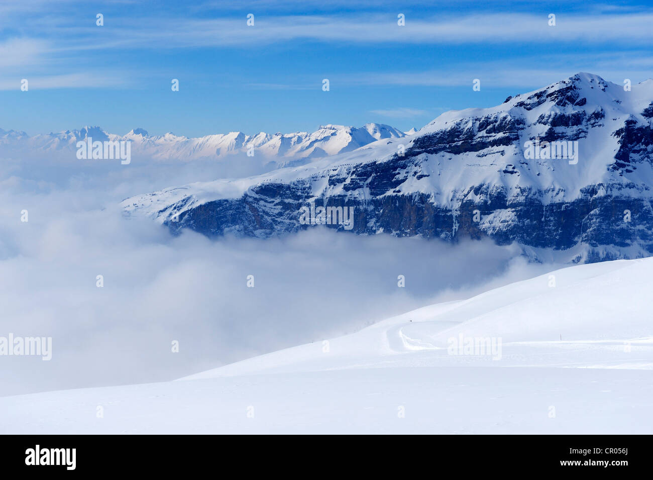 Blick vom Torrenthorn Berg über dem Nebel gehüllt, Walliser Alpen, Leukerbad, Wallis, Schweiz, Europa Stockfoto