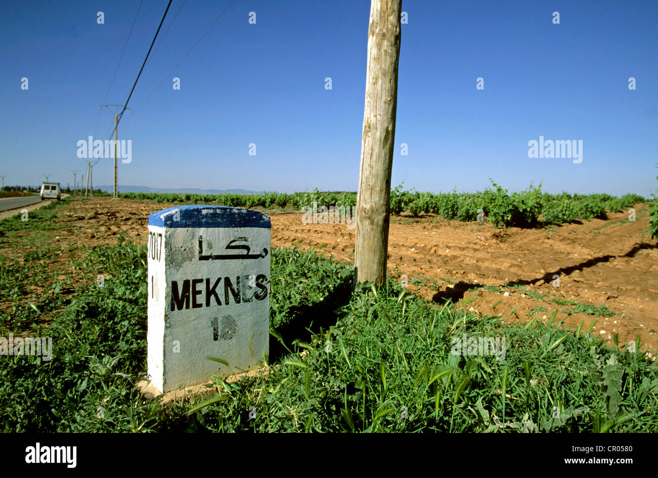 Marokko, Meknes, Weinberg, Kilometer Marker Sahari Wein erzeugenden Domäne Stockfoto