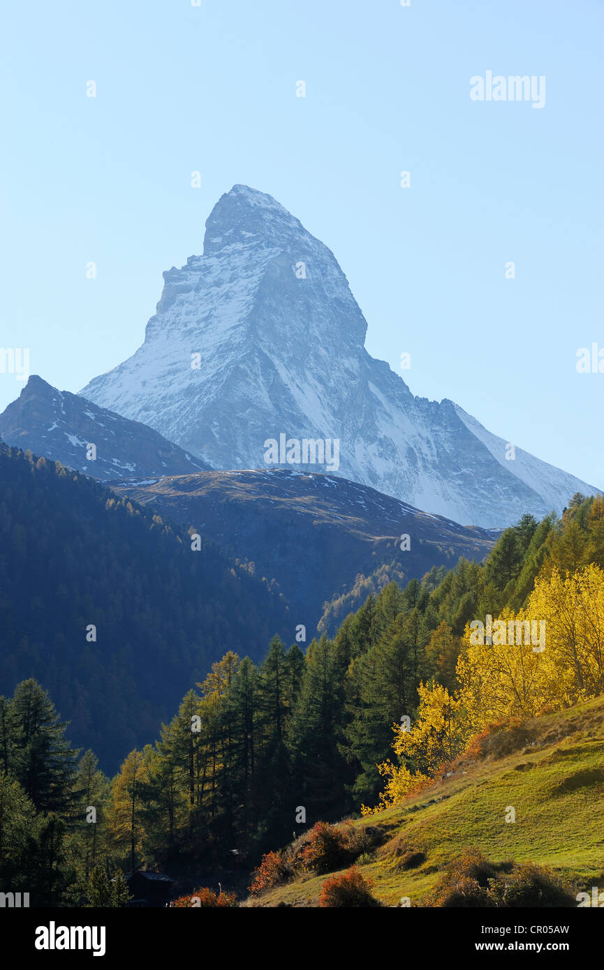 Matterhorn in einem herbstlichen Gebiet, Zermatt, Wallis, Schweiz, Europa Stockfoto