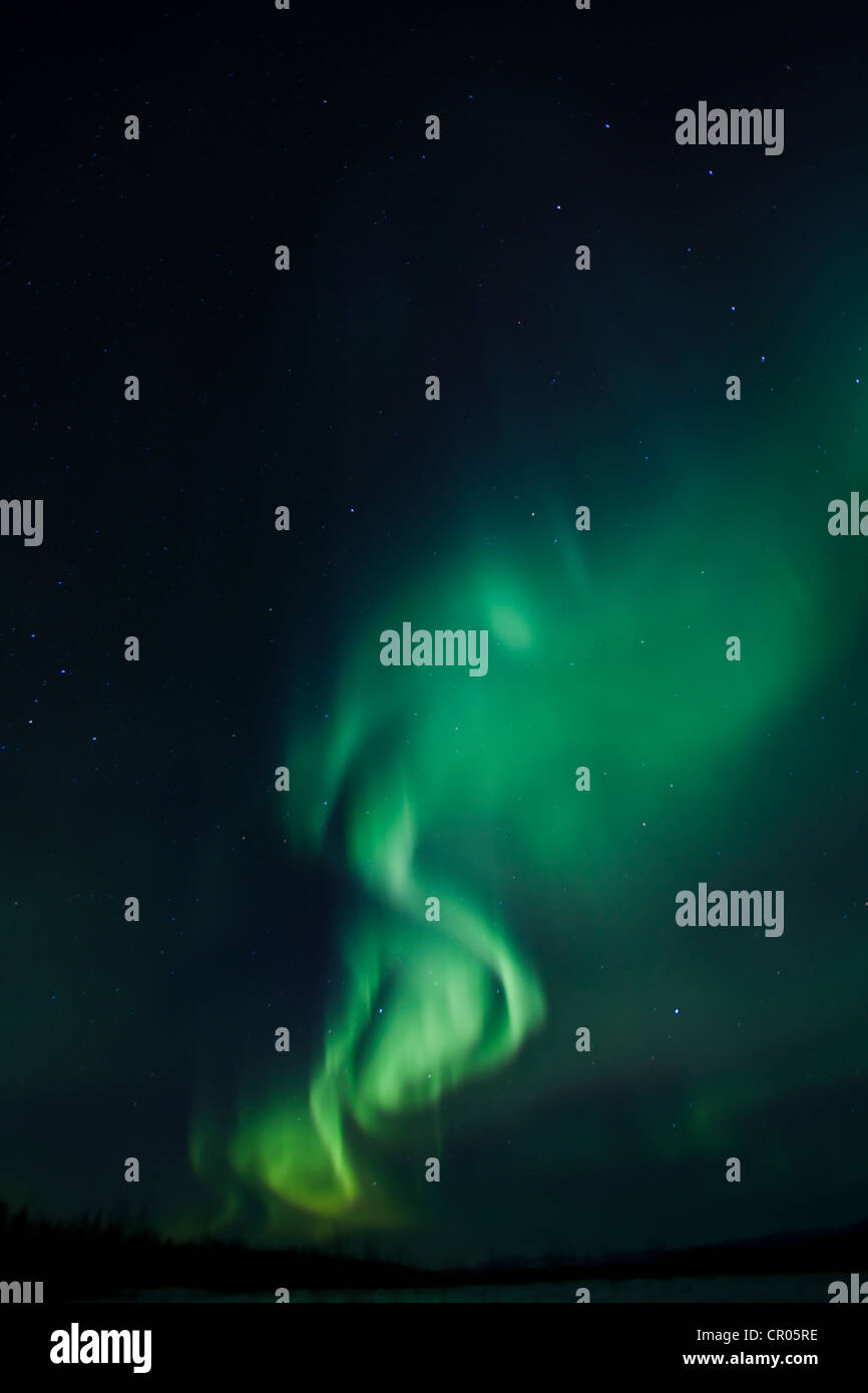 Wirbelnden Nordlicht, Polar Aurora oder Aurora Borealis, grün, in der Nähe von Whitehorse, Yukon Territorium, Kanada Stockfoto