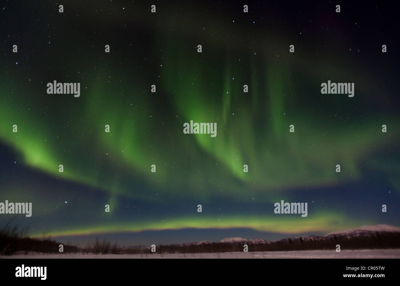 Wirbelnden Nordlicht, Polar Aurora oder Aurora Borealis, grün, in der Nähe von Whitehorse, Yukon Territorium, Kanada Stockfoto