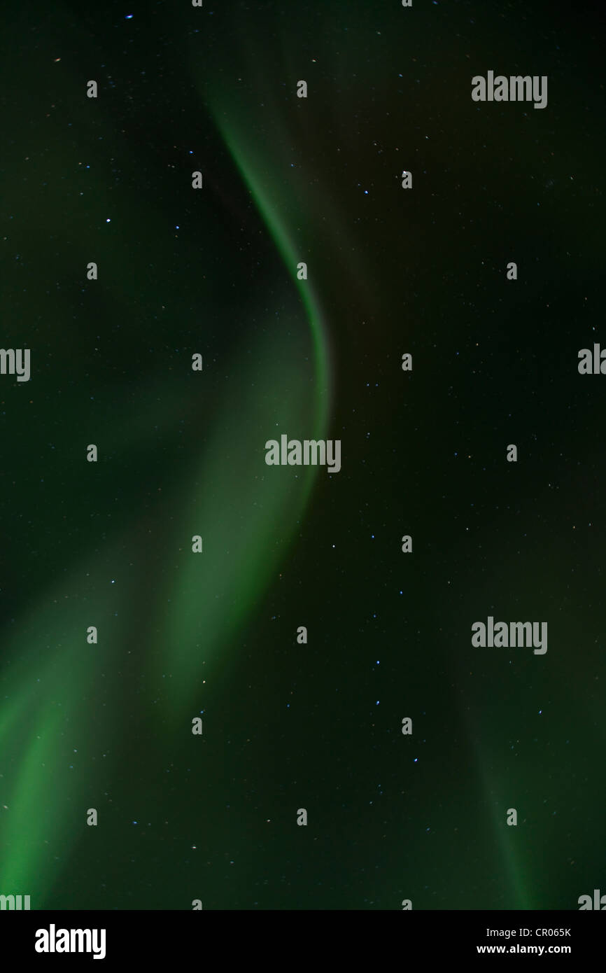 Wirbelnden nördlichen polaren Deckenbeleuchtung, Aurora Borealis, grün, in der Nähe von Whitehorse, Yukon Territorium, Kanada, Amerika Stockfoto