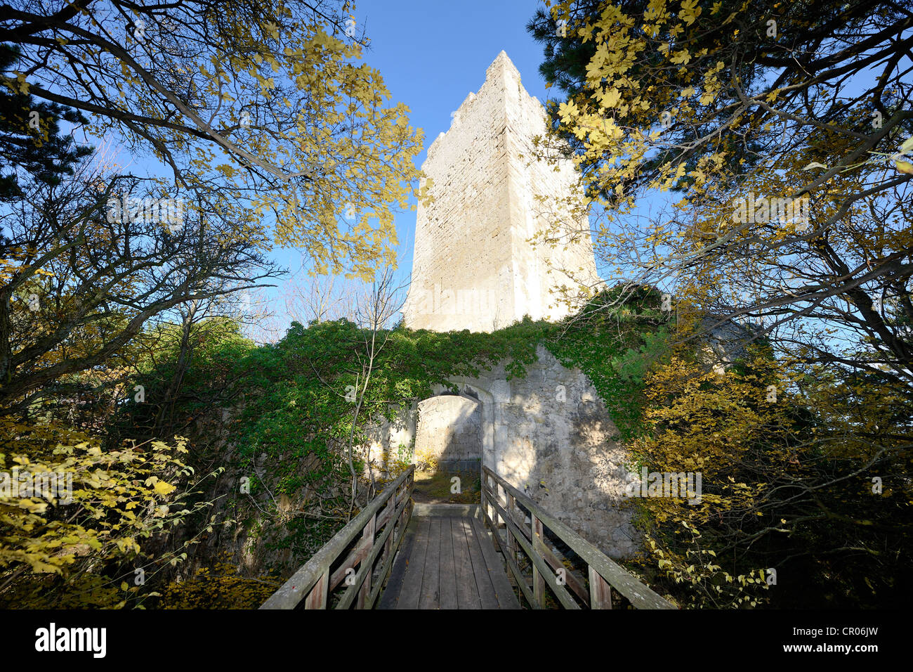 Turm der Ruine der Burg Rauheneck, Baden, Niederösterreich, Österreich Stockfoto