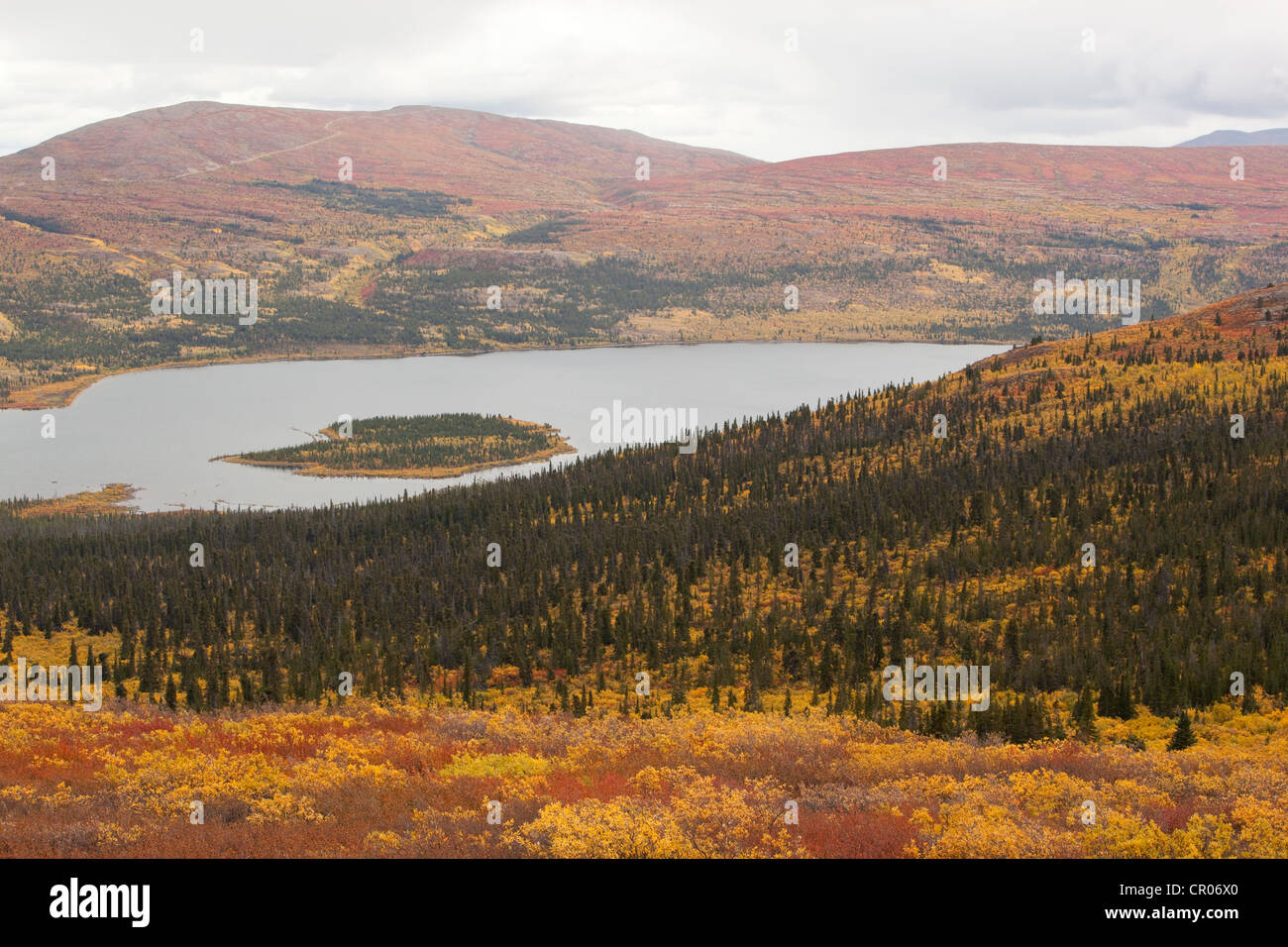 Ansicht, Panorama über Fish Lake und umliegenden sub-alpinen Tundra, Indian Summer, Blätter in Herbstfarben, Herbst, Yukon-Territorium Stockfoto