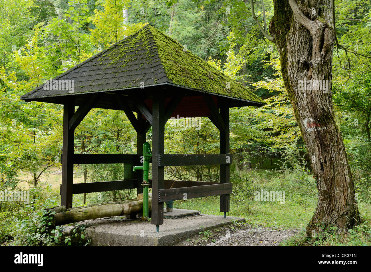 Beim alten Brunnen, die alten Brunnen, die Gröberen geyergraben, Triestingtal, Niederösterreich, Österreich, Europa Stockfoto