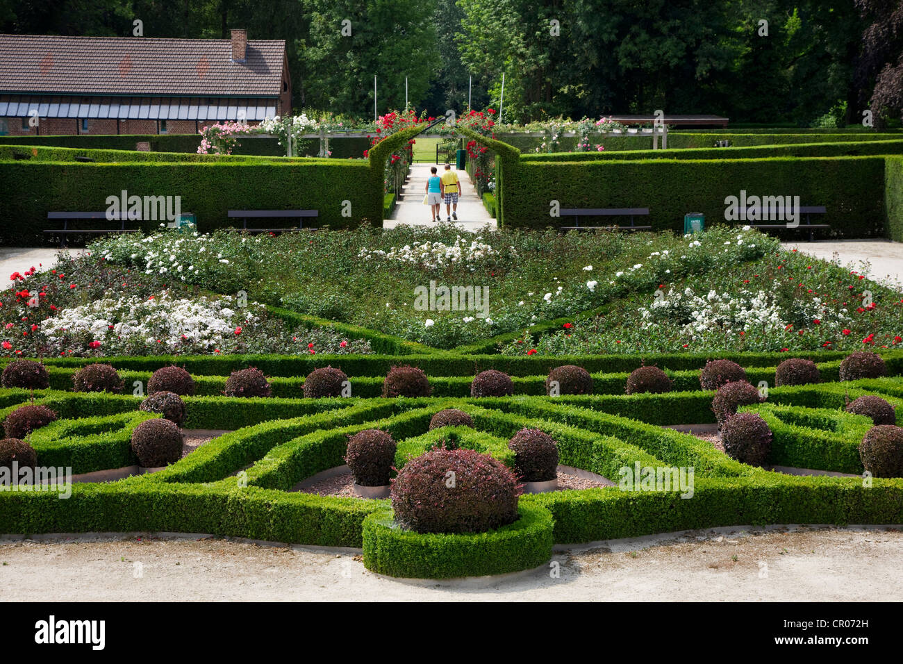Gestutzten Hecken und bunten Rosen in der rose Garten Park Coloma am Sint-Pieters-Leeuw, Belgien Stockfoto