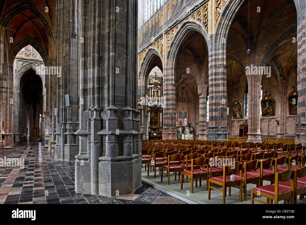Innenraum der Basilika von Saint-Hubert in Saint-Hubert, Ardennen, Belgien Stockfoto