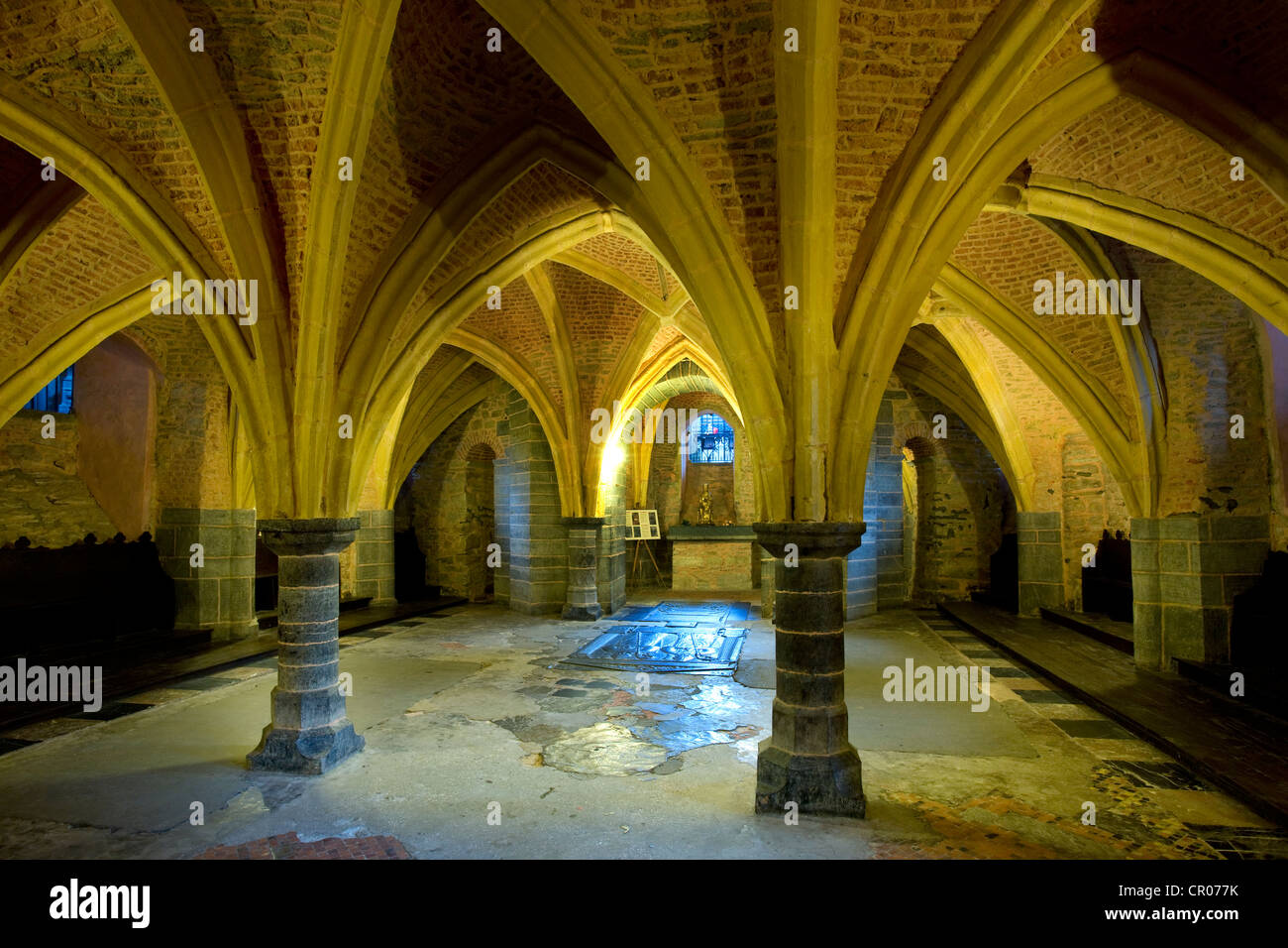 Innenraum mit gewölbten Dach und Säulen im Inneren der Basilika des Heiligen Hubertus in Saint-Hubert, Ardennen, Belgien Stockfoto