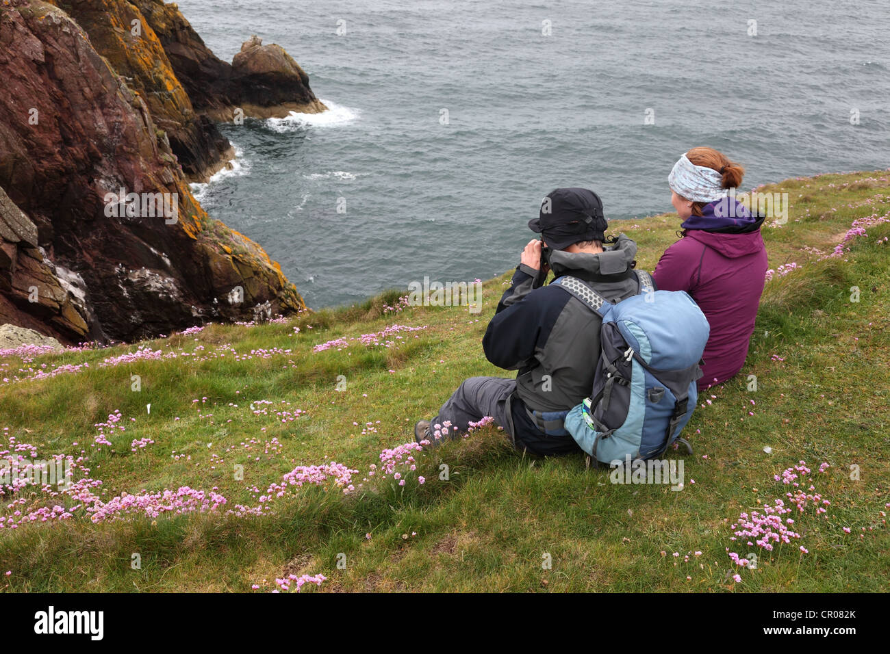 Wanderer sitzen unter den Blumen der Sparsamkeit (Armeria Maritima) beobachtete Vögel auf den Klippen von Mull of Galloway Scotland UK Stockfoto