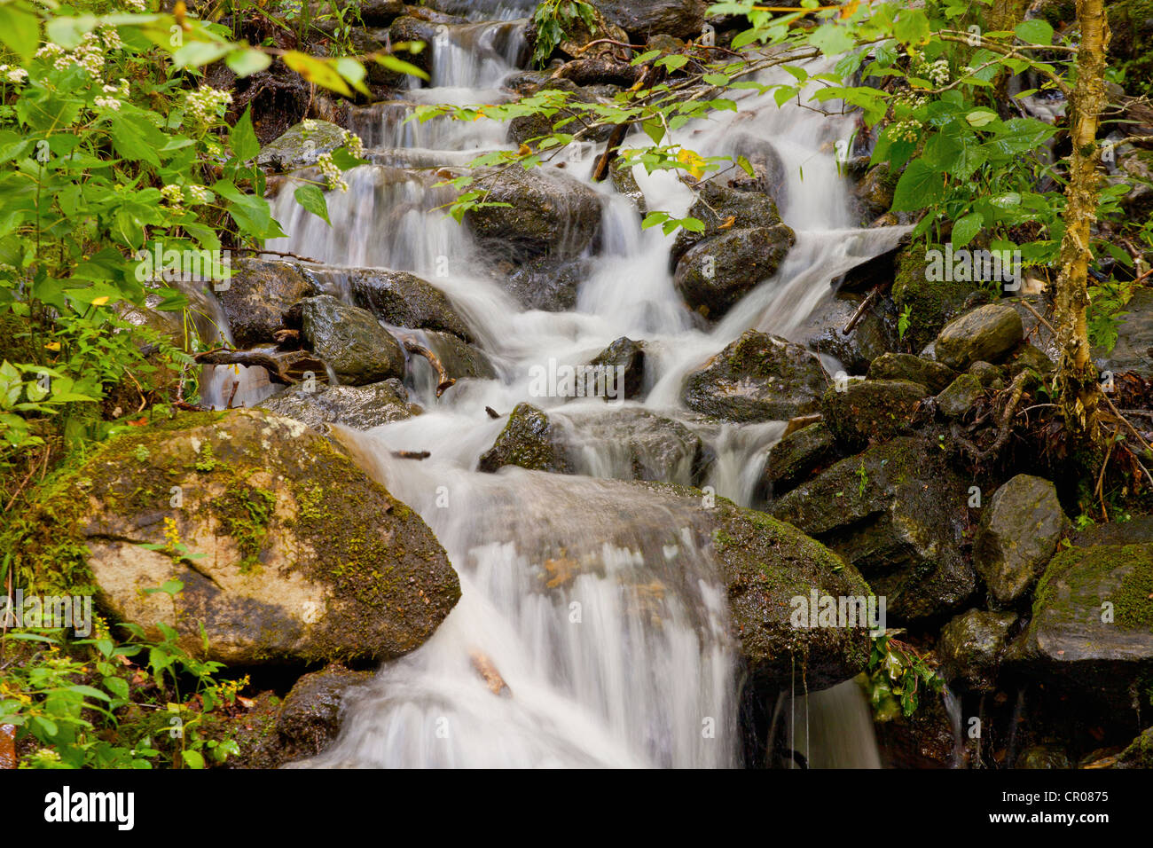 Kleiner Bach, Knowlton, Quebec, Kanada Stockfoto