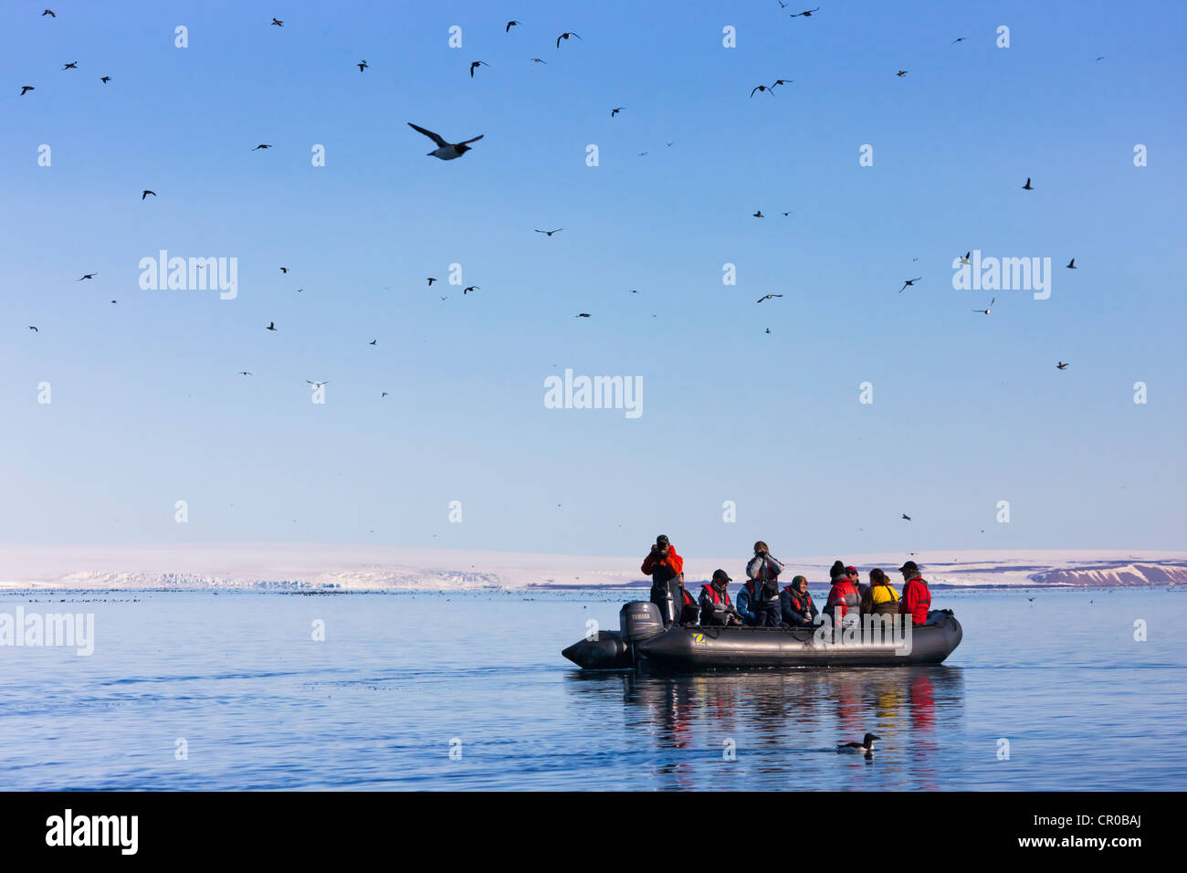 Touristen in Zodiac Uhr Vogel Kolonie Alkefjellet, Spitzbergen, Norwegen Stockfoto