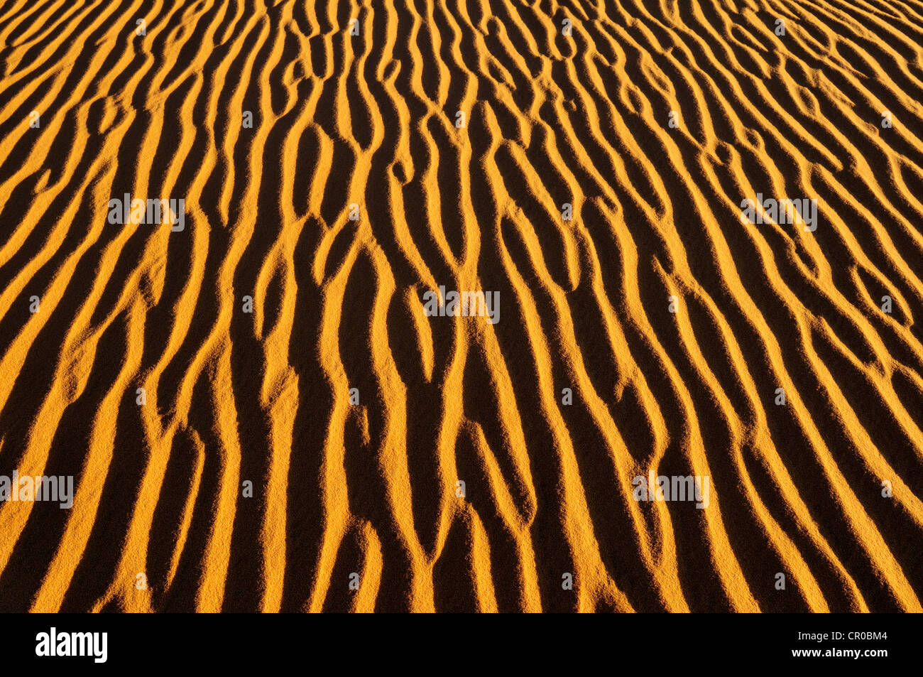 Sand Muster auf einer Düne, In Tehak Region, Acacus Berge oder Tadrart Acacus Reichweite, Tassili n ' Ajjer National Park Stockfoto
