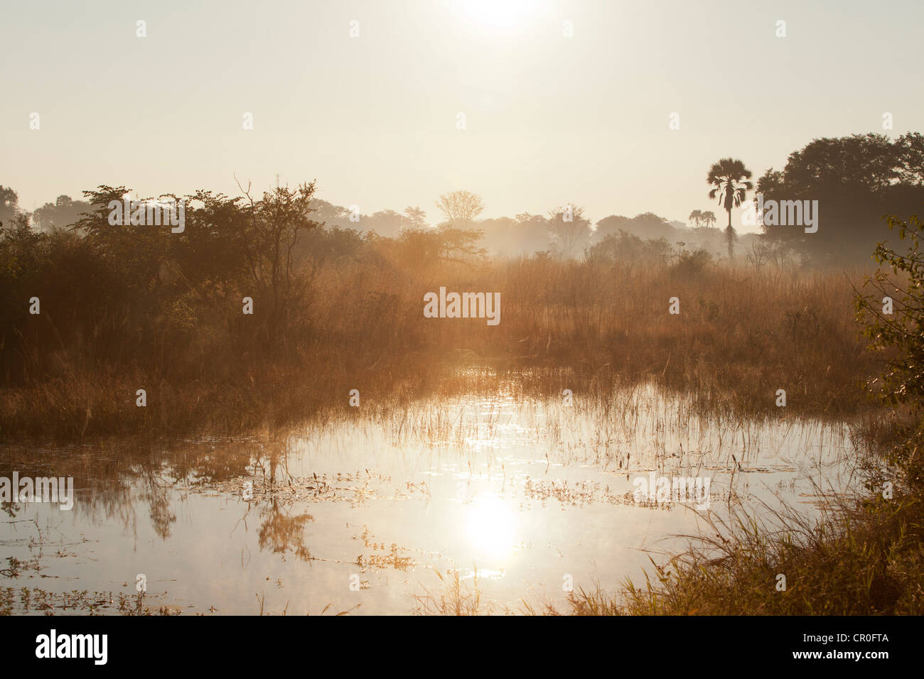 Landschaft von Livingstone, Sambia. Stockfoto