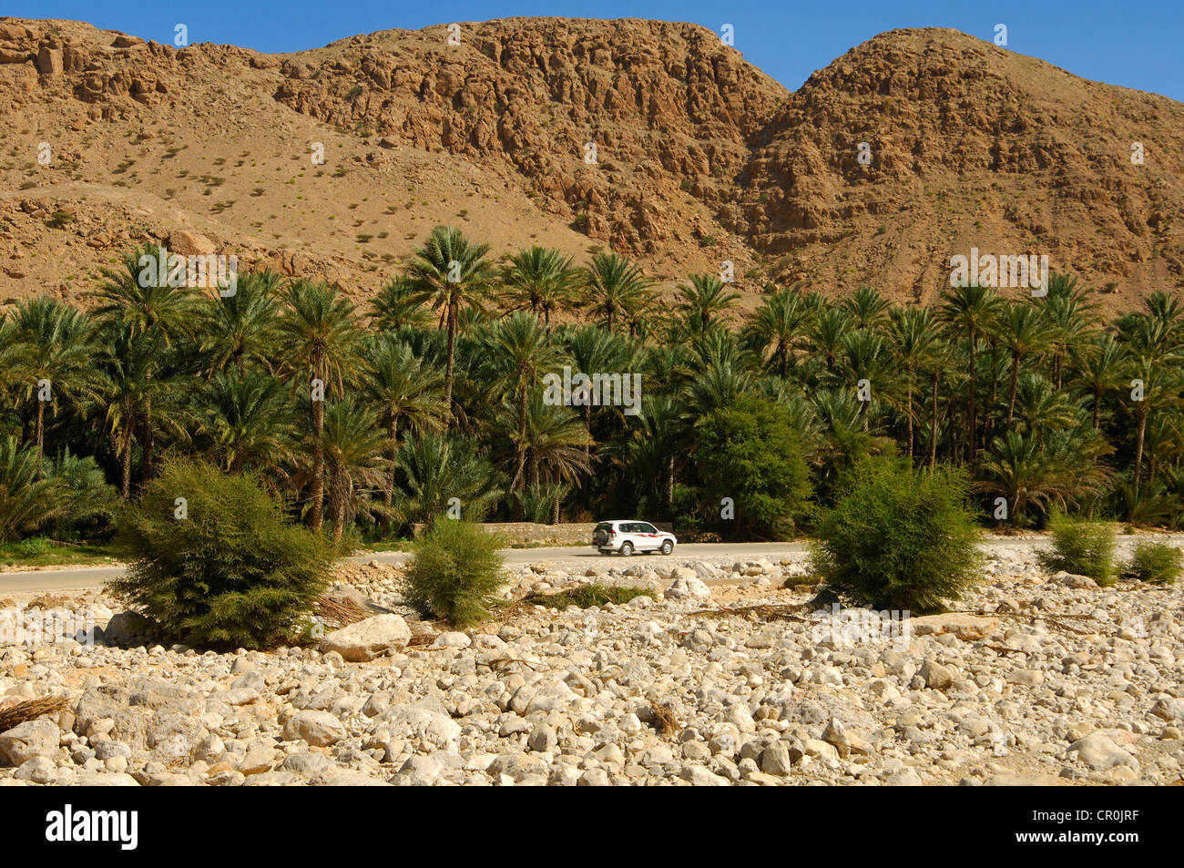 Palmenhain in einer Oase in der Al Hajar oder Hajjar Berge, Sultanat Oman, Naher Osten Stockfoto