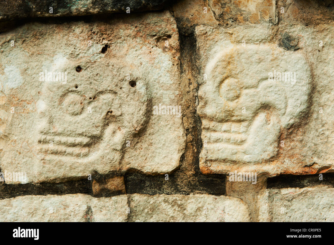 Mexiko, Yucatan, Chichen Itza Maya-Schnitzereien aus menschlichen Schädeln Stockfoto