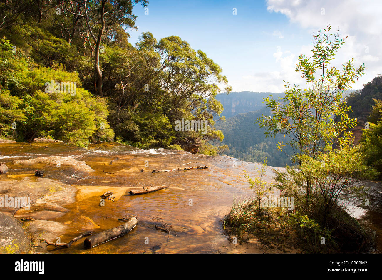 Blick auf Wentworth Falls in den Blue Mountains, Australien in der Nähe von Sydney Stockfoto