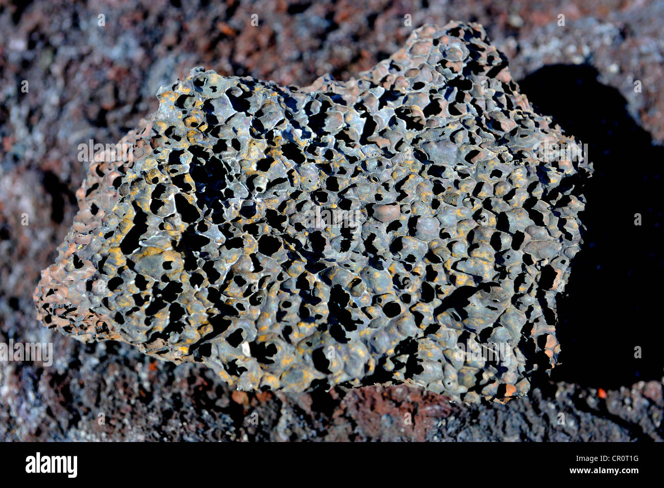 Lava-Gestein, La Palma, Kanarische Inseln, Spanien, Europa, PublicGround Stockfoto