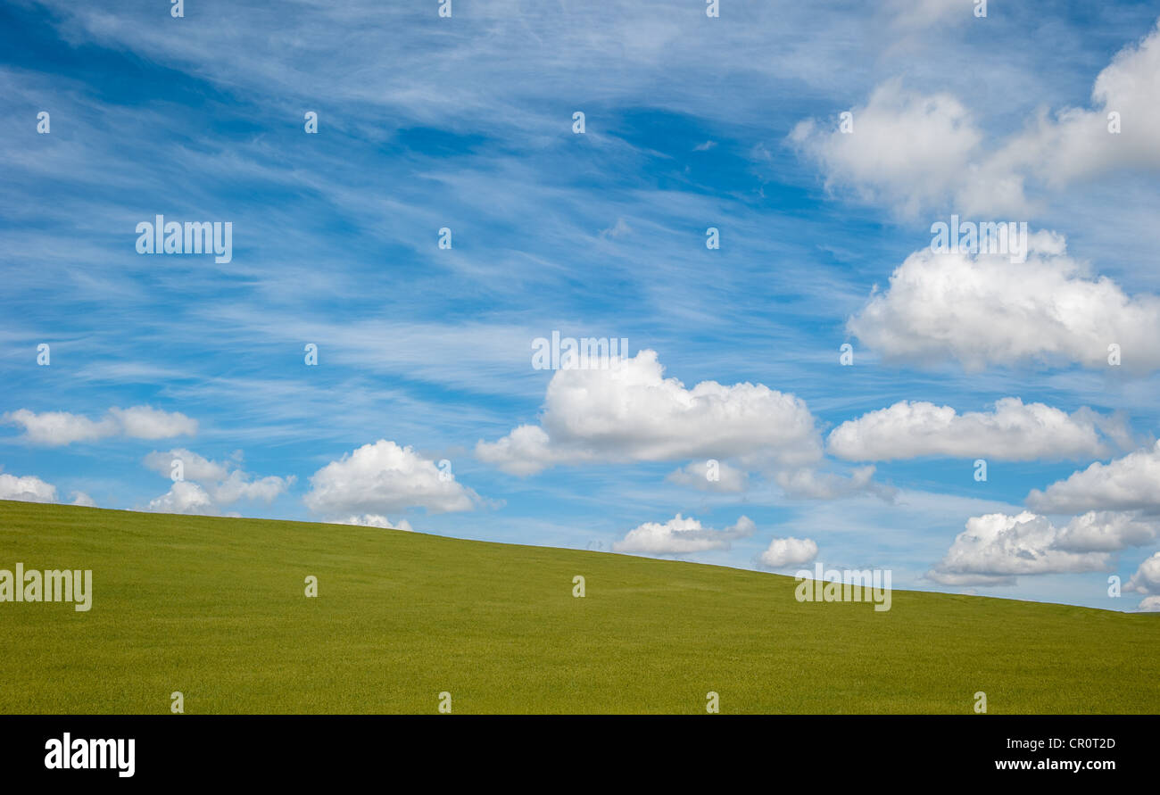 grünes Feld und blauer bewölkten Himmelshintergrund Stockfoto