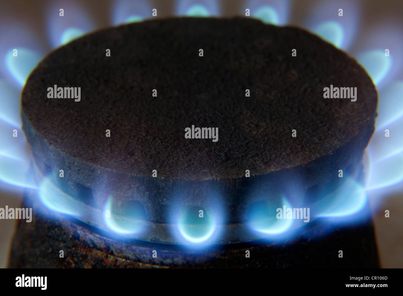 Nahaufnahme blaue Feuerflammen auf einem Gasbrenner in der Küche zum Kochen.  Gasflamme in einem Gaskessel 12957921 Stock-Photo bei Vecteezy