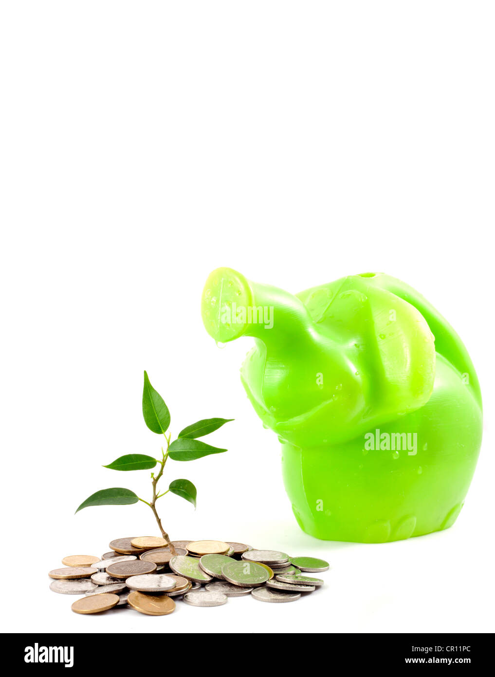 Grüne Pflanze auf weißem Hintergrund Geschäft Metapher des Sparens des Geldes in der Bank und schützen Stockfoto