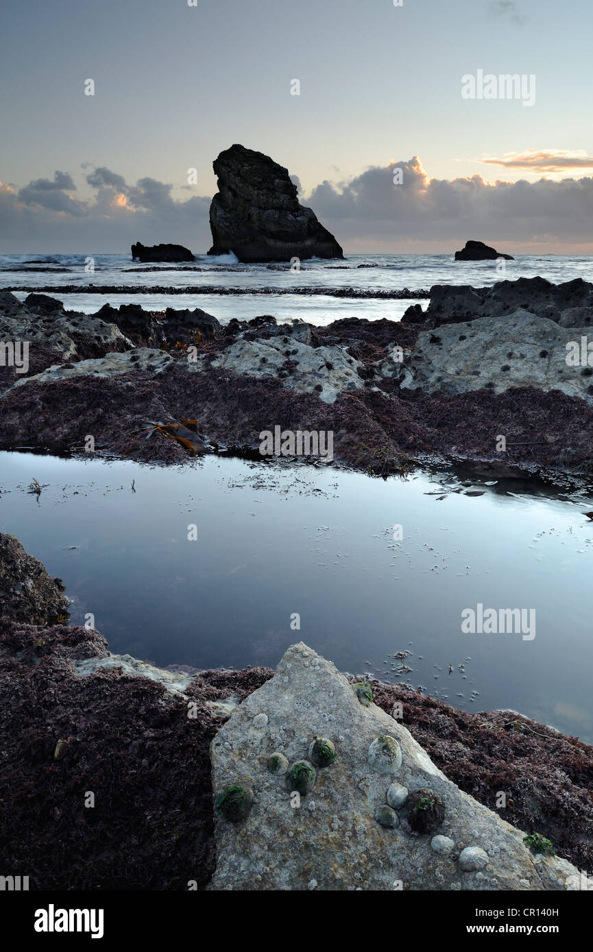 Schroffe Felsen ragt ins Meer bei Mupe Rocks, Dorset, UK. Stockfoto